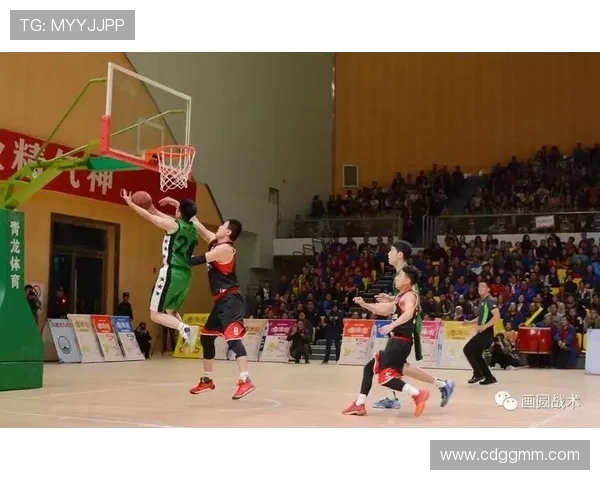 杭州篮球队精英赛表现分析团队配合与战术执行的关键因素探讨