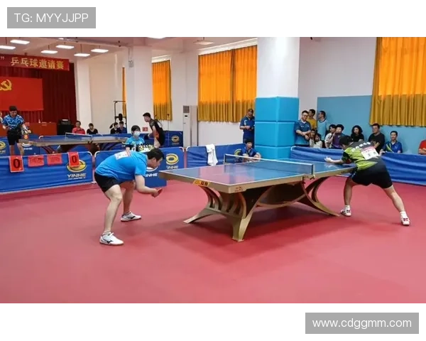 乒乓球传奇陈磊的职业生涯回顾与未来展望对话录